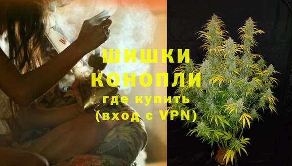 шишки Остров