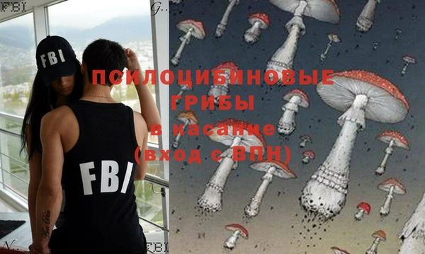 прущие грибы Кулебаки