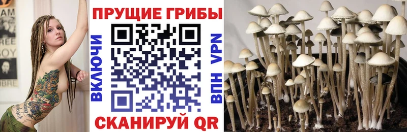 Галлюциногенные грибы прущие грибы  Лакинск 